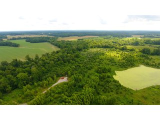 TRACT 46 - ILLINOIS LAND AUCTION - 4,810+/- ACRES OFFERED IN 85 TRACTS IN FRANKLIN, WILLIAMSON, HAMILTON & SALINE COUNTIES, ILLINOIS